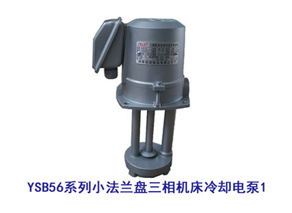 YSB56系列小法蘭盤(pán)三相機(jī)床冷卻電泵1